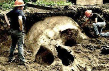 Milhares de esqueletos gigantes foram encontrados ao redor do mundo e nós nunca soubemos disso