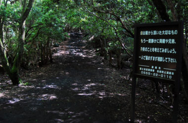 Aokigahara, a floresta macabra dos suicídios